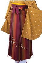 茶縦桜ぼかし