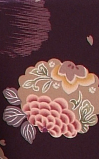 あぐり紫