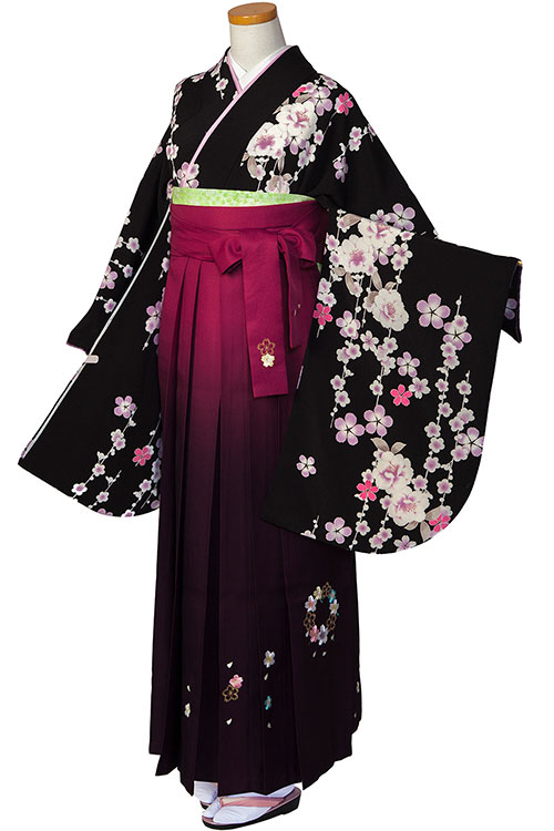 黒紫さくらん