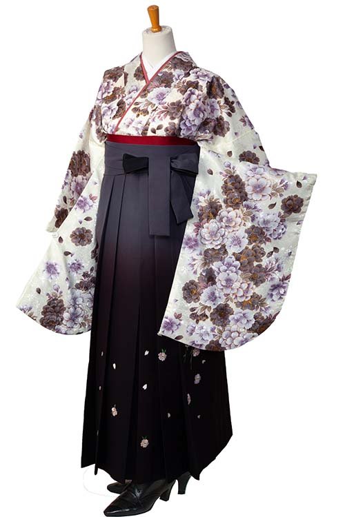 白やませみ（U）