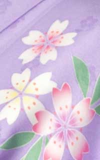 紫桜の森
