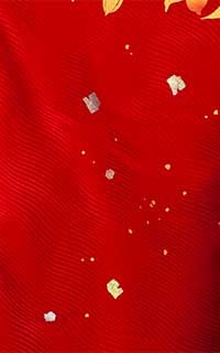 紅金花鏡