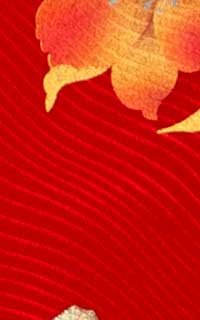紅金花鏡