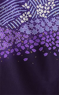 浮羽紫丘花