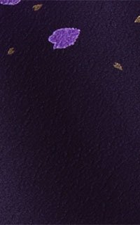 浮羽紫丘花