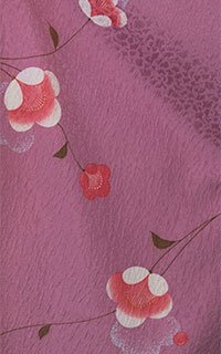 柳川梅