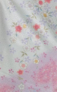 宝満白桜