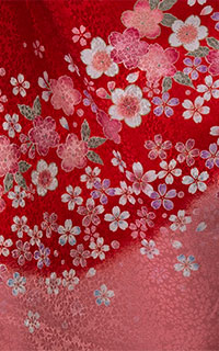 赤舞桜