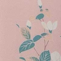 ピンク山茶花
