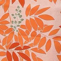 いろどり橙(だいだい)