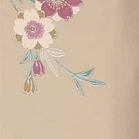 くじゅうベージュ桜