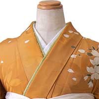からし白花