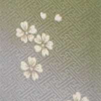 花雪輪緑