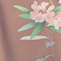 淡あずき灰