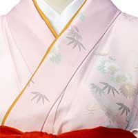 淡Pひな菊