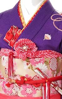 紫折鶴