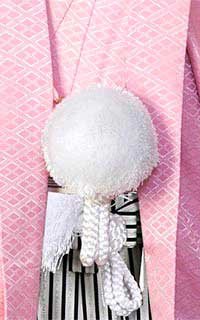 ピンクJr