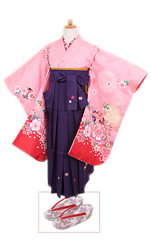 桜色桜紋