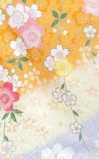 リボンオレンジ