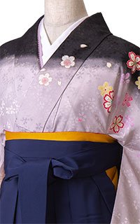 明星