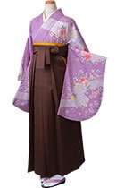明星藤色