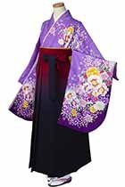 紫花枕