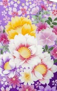 紫花枕