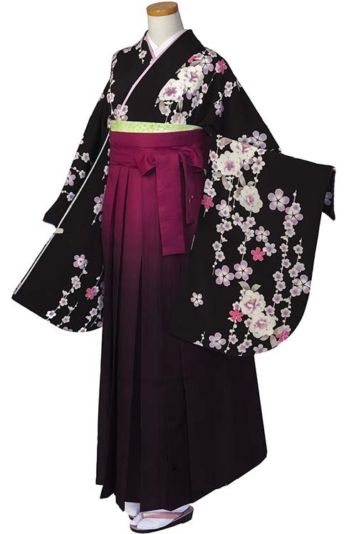 黒紫さくらん