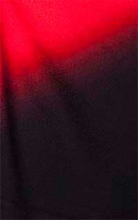 赤花紋袖黒