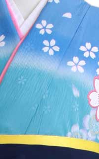 水色×ピンク桜