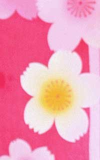 桜素材